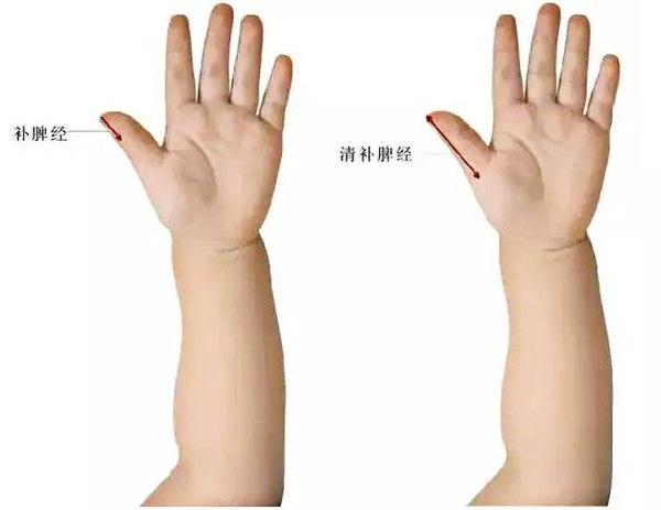 补脾经