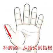 作用堪比人参健脾丸,给孩子补脾这样做!