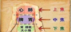 三焦经打通,妇科病慢性病好得快!
