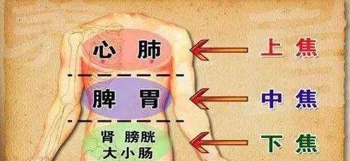三焦经打通,妇科病慢性病好得快!
