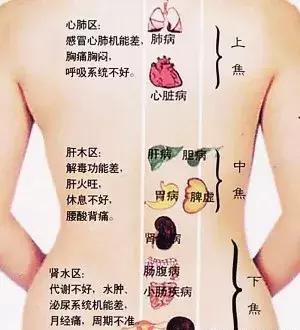 三焦经