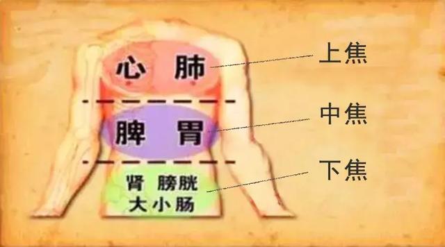 三焦经重在打通中焦!三焦经的调理方法