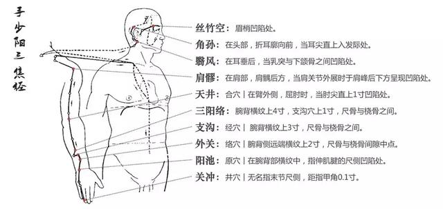 三焦经