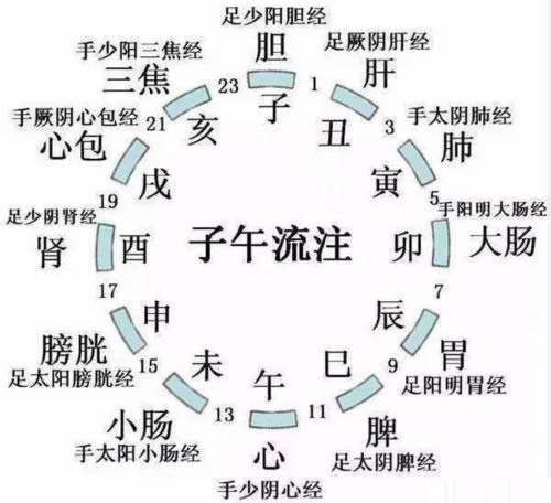 12经络