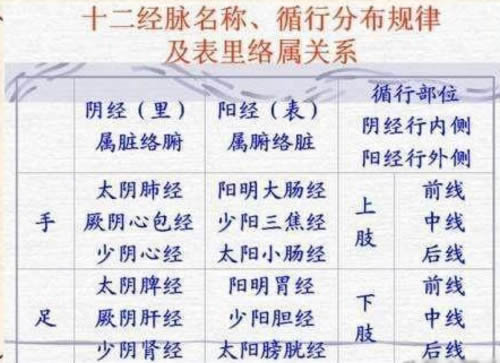 十二经络