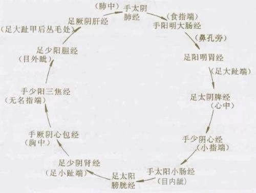 十二经络