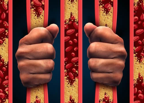 12经络易堵穴