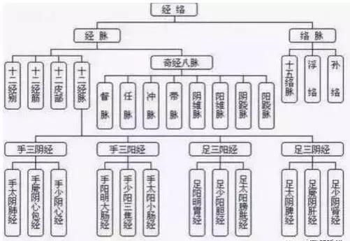 经络是管什么的,快看看吧!