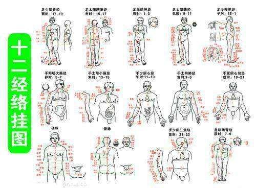 十二经络