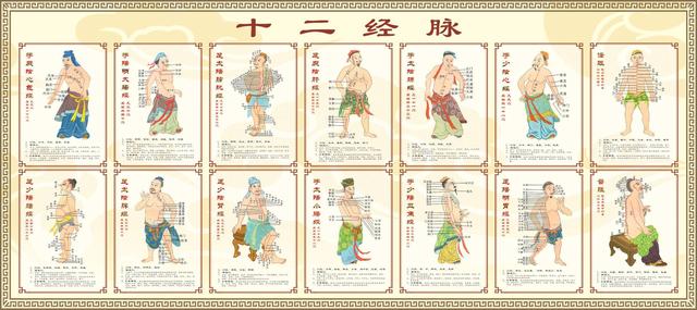 人体经络