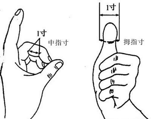 腧穴概念及定位