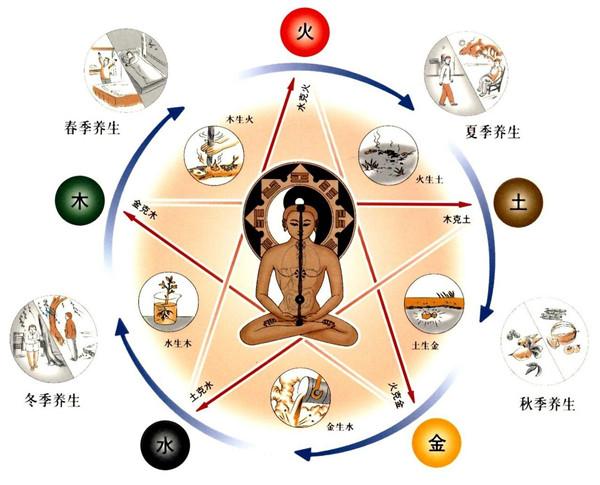 藏在人体五脏里的阴阳五行