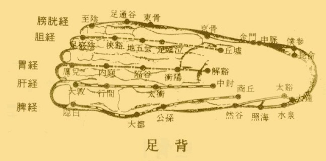 人体穴位图