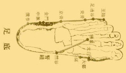 人体穴位图