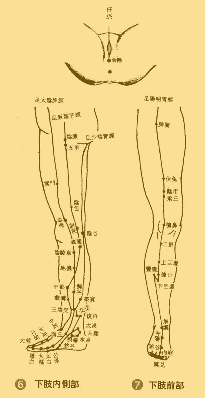 人体穴位图