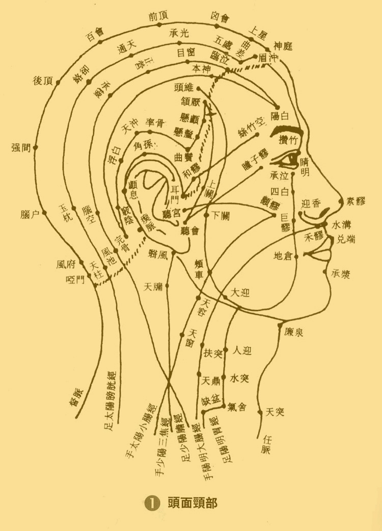 人体穴位图谱
