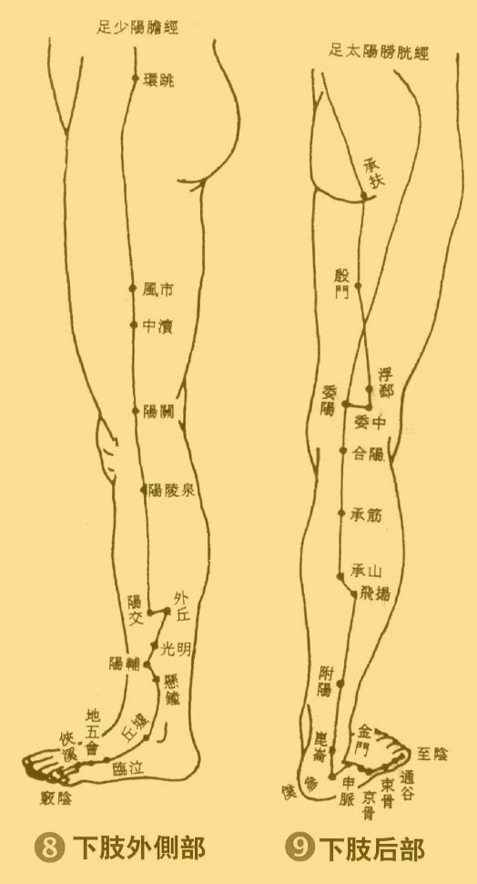 人体穴位图