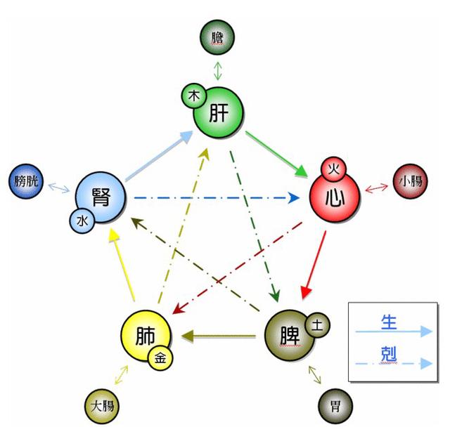 阴阳学说