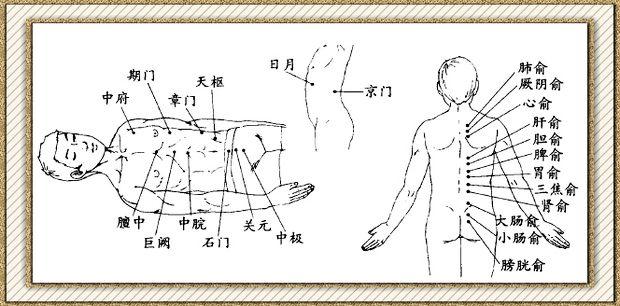 募穴