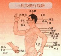 三焦经穴位图,三焦经循行路线图