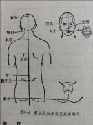 督脉的作用,一旦不通性命难保!
