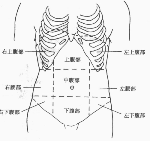 腹部九分法,腹部疼痛到底是哪里痛?