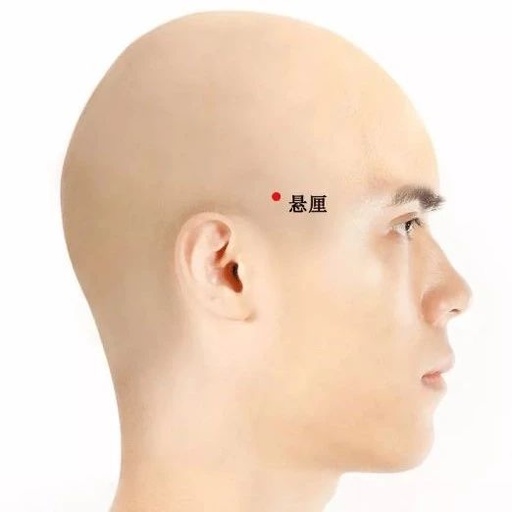 悬厘穴的准确位置图及功效作用