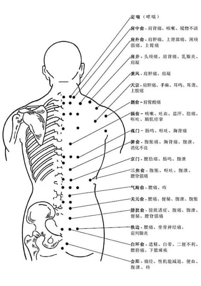 背部穴位功能