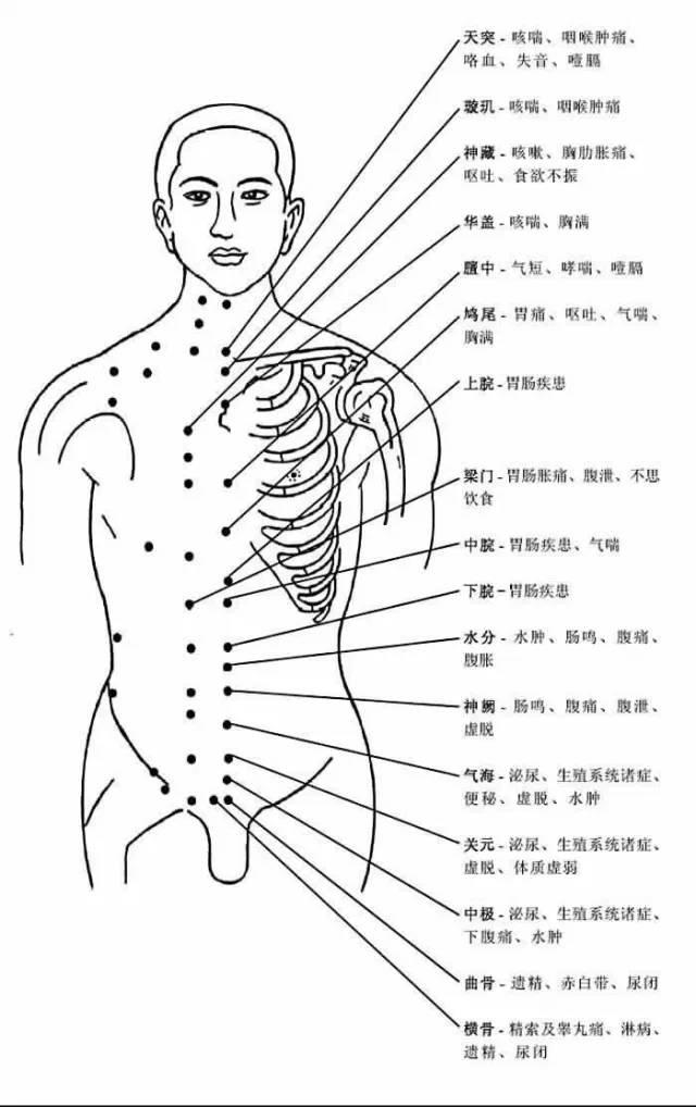 胸部穴位