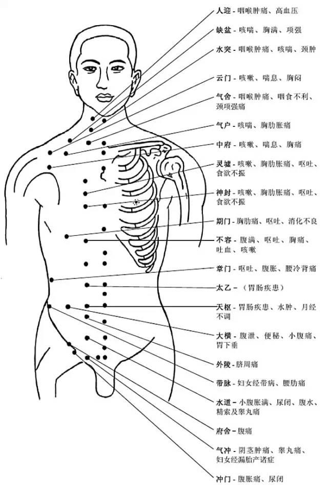 背部穴位
