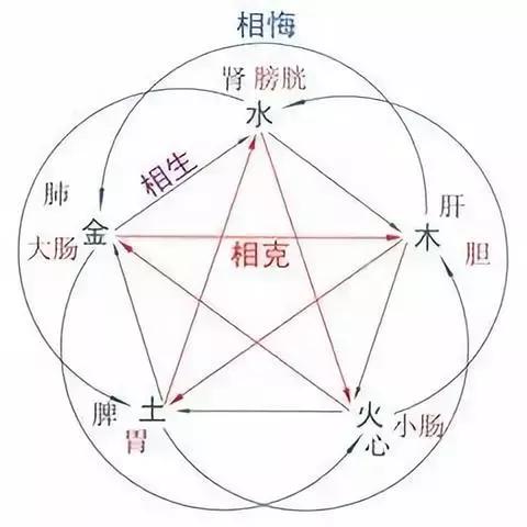 五脏常见虚劳症(阴阳气血)穴位调理法