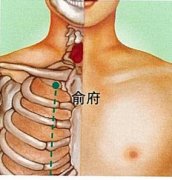 俞府穴的准确穴位图及作用