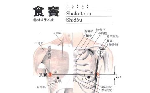 食窦