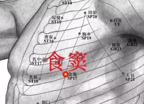食窦穴