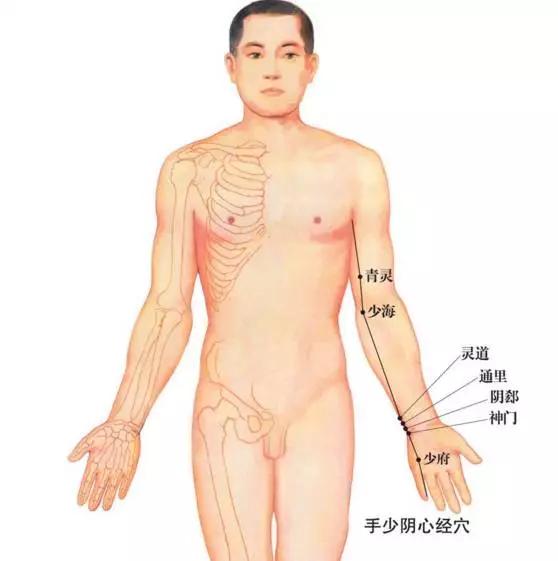 手厥阴心包经
