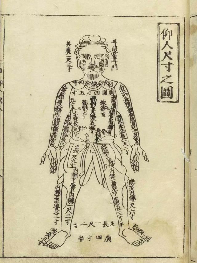 十二经脉病证