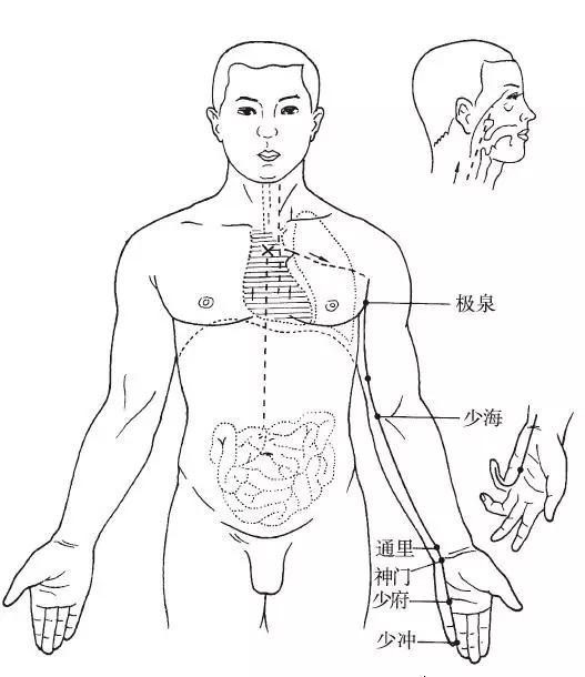 手少阴心经