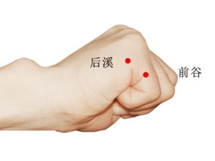 后溪穴
