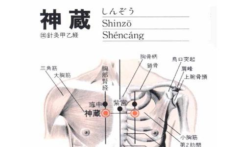 神藏穴