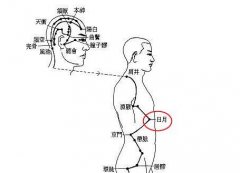 日月穴的准确穴位图及作用