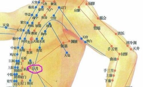 日月穴的准确穴位图及作用