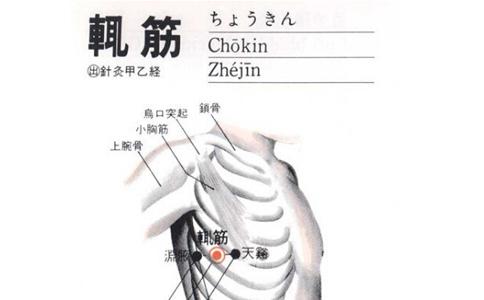 辄筋穴的准确穴位图及作用