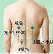 意舍穴的准确穴位图及作用