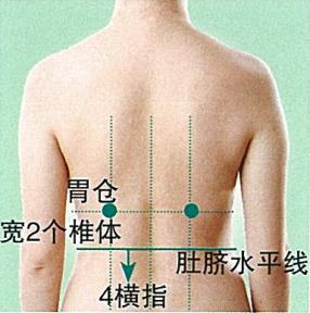 胃仓穴
