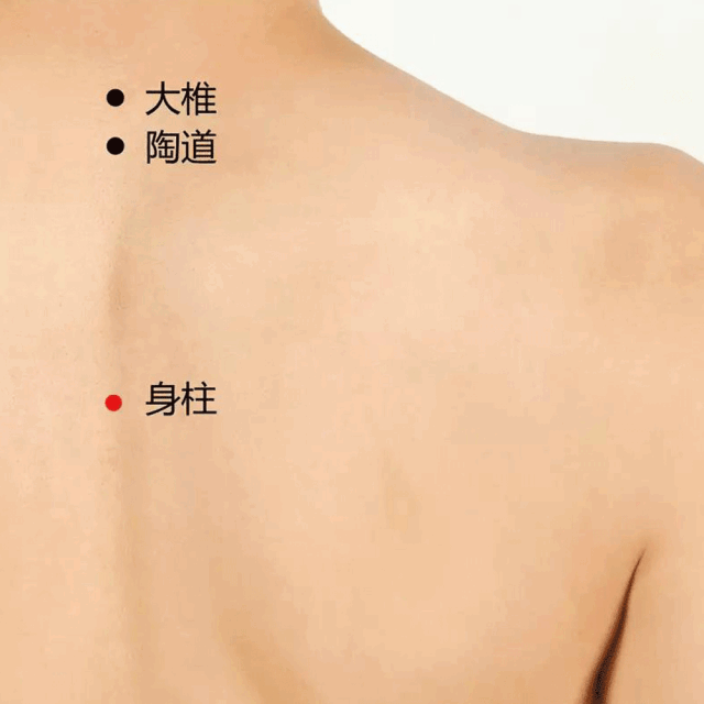 身柱穴