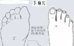 下痢穴的准确穴位图及作用