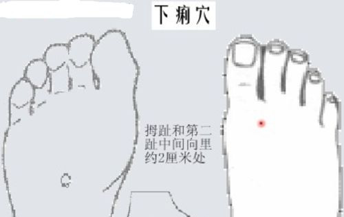 下痢穴