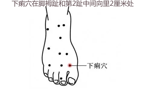 下痢穴的准确穴位图