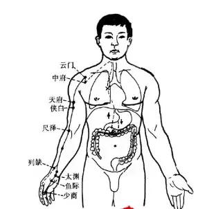 肺经