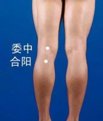 合阳穴